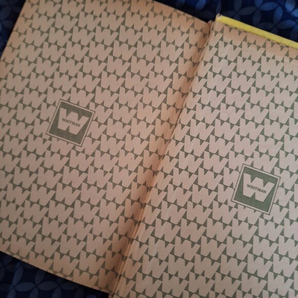 the Wonderful wizard of oz book - Picture 7 of 10